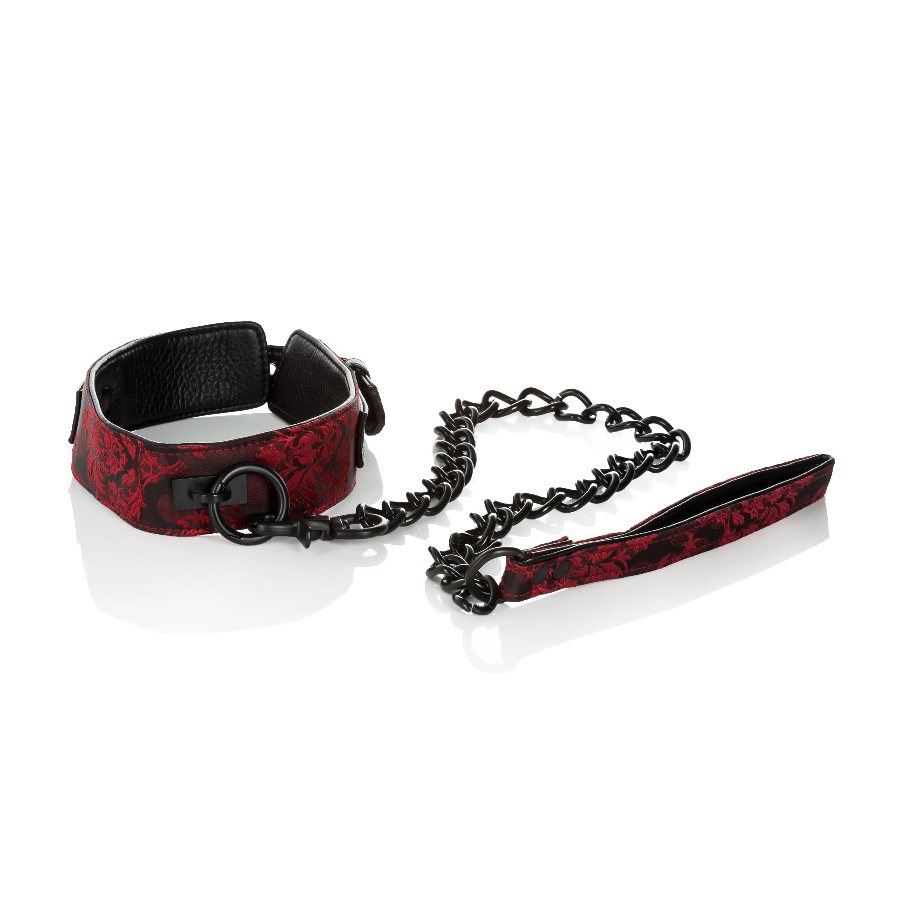 Adventure Collar and Leash: Fun and Exciting Playtime Accessories