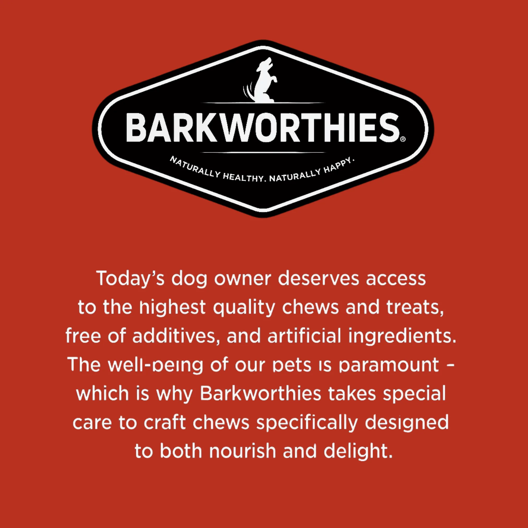 Barkworthies Naturally Smoked Beef Stick Dog Chews