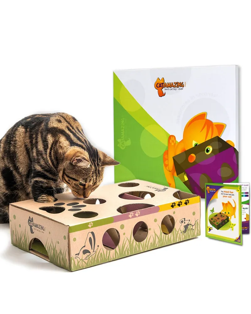 Cat Puzzle Feeder Toy << FINAL SALE >>