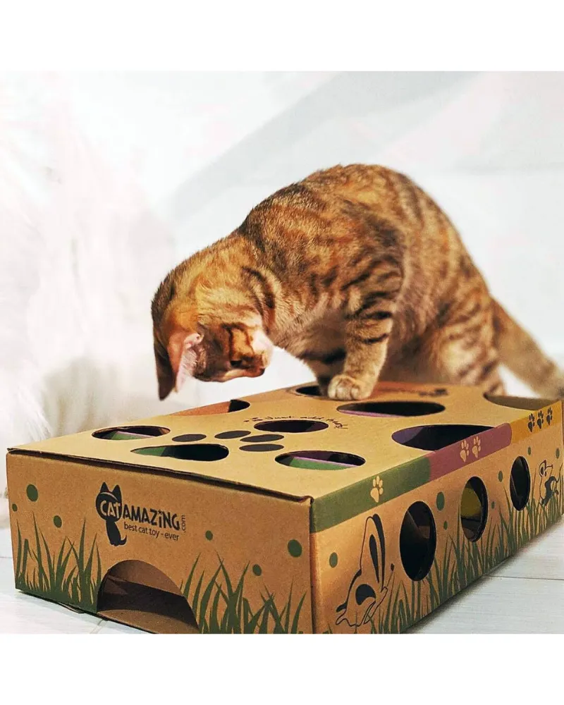 Cat Puzzle Feeder Toy << FINAL SALE >>