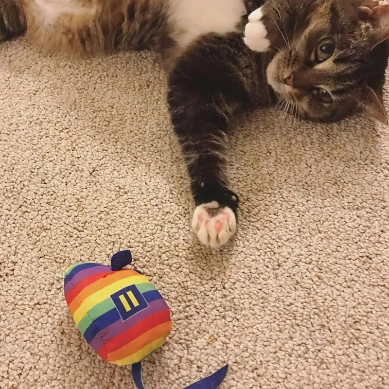 Customizable Catnip Toys: You've Got To Be Kitten Me