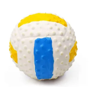 Dog Chew Toy Volleyball Sound Training Ball