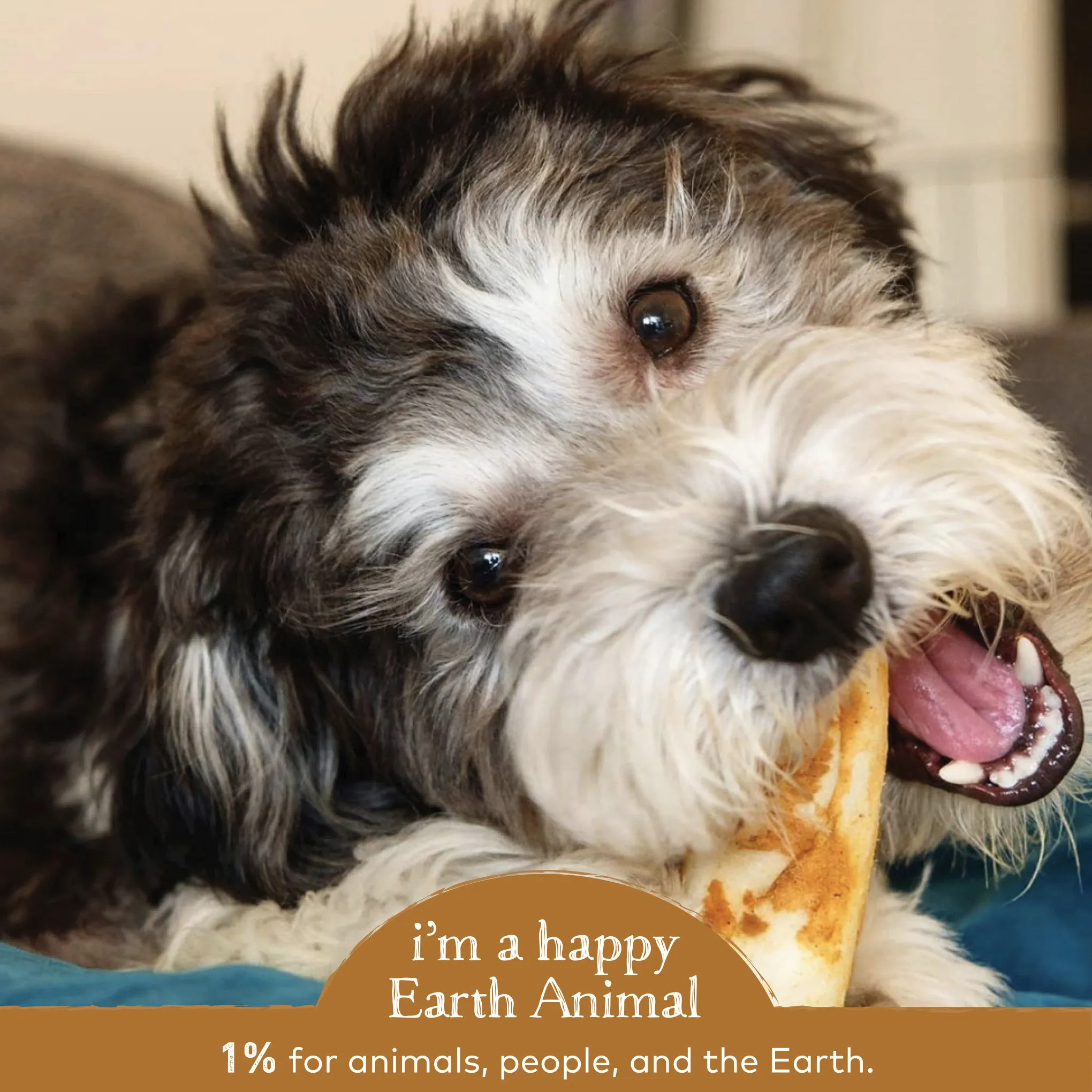 Earth Animal No-Hide Venison Single Chew for Dogs