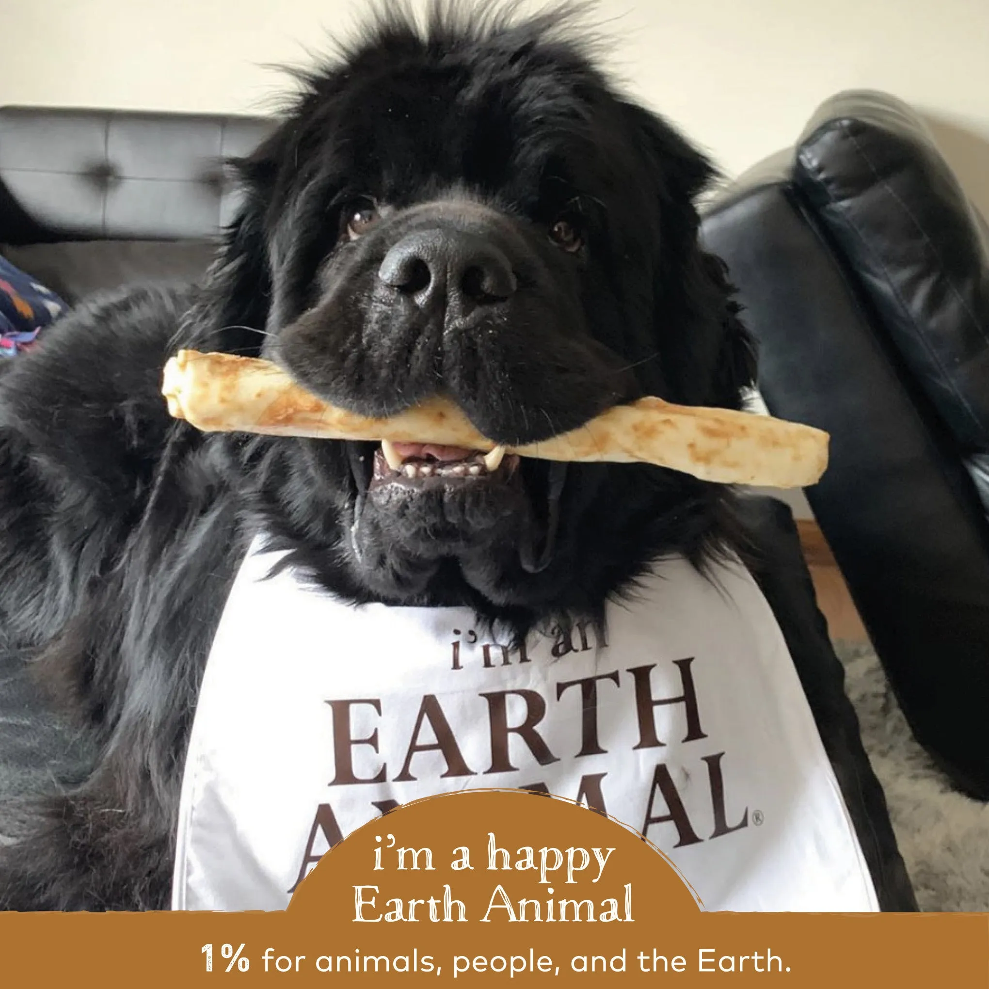 Earth Animal No-Hide Venison Single Chew for Dogs