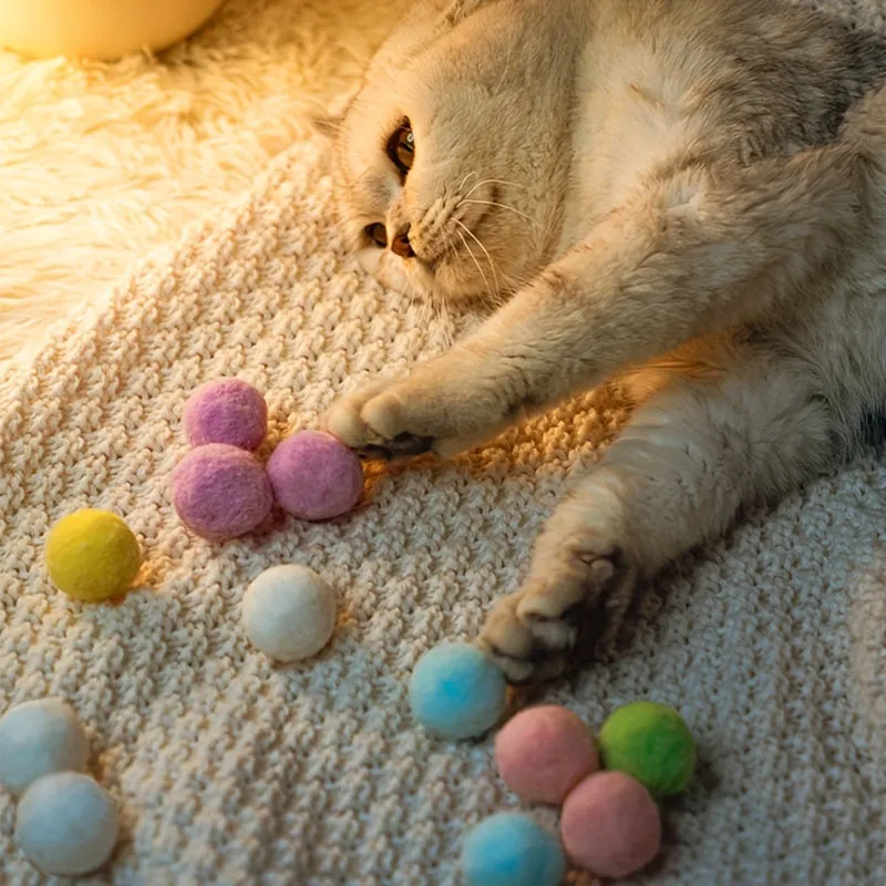 Engage and Train Your Kitten with Interactive Cat Toys