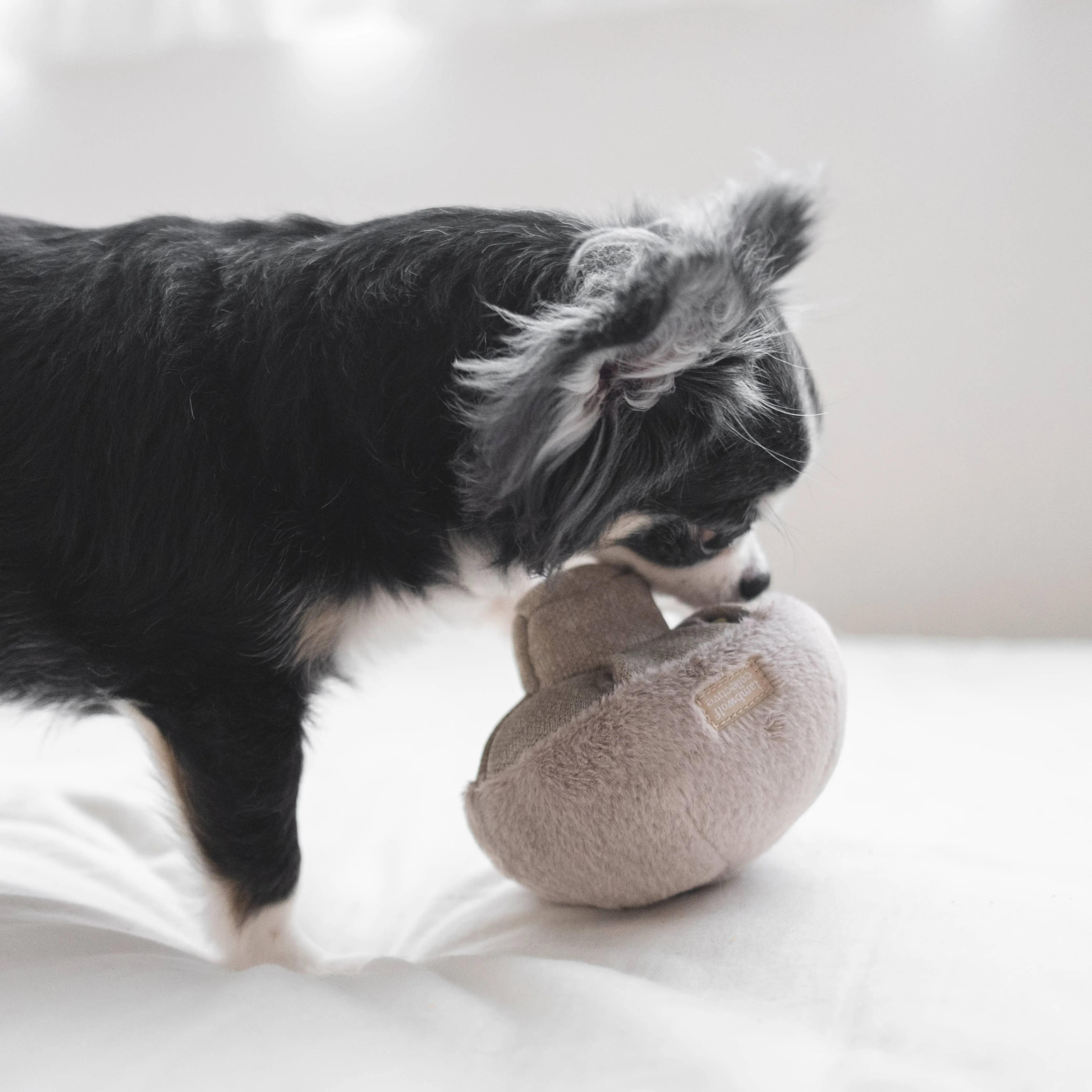 GUU //HAZE//NOSEWORK//ENRICHMENT DOG TOY