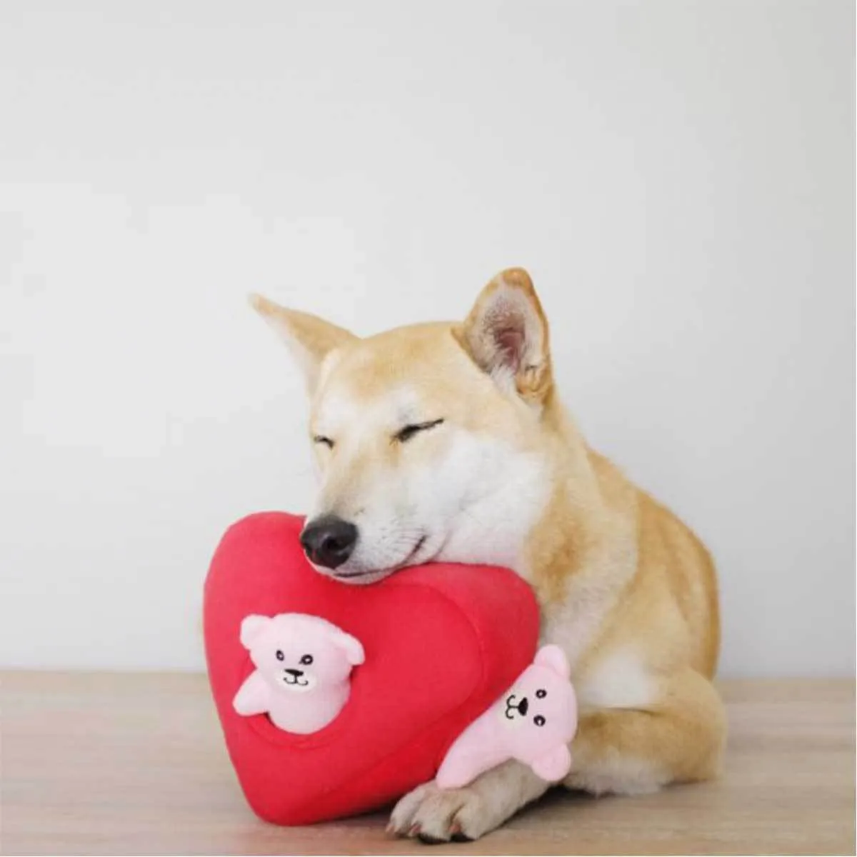 Hearts and Bears Burrow Puzzle Dog Toy