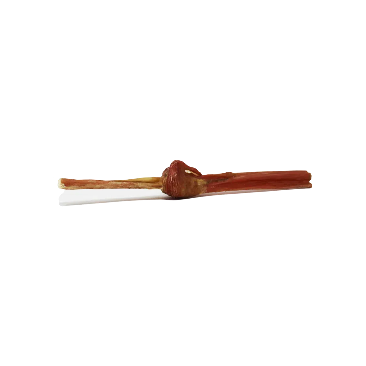 Home Range Beef Bully Stick Jr  Bladder Dog Treat