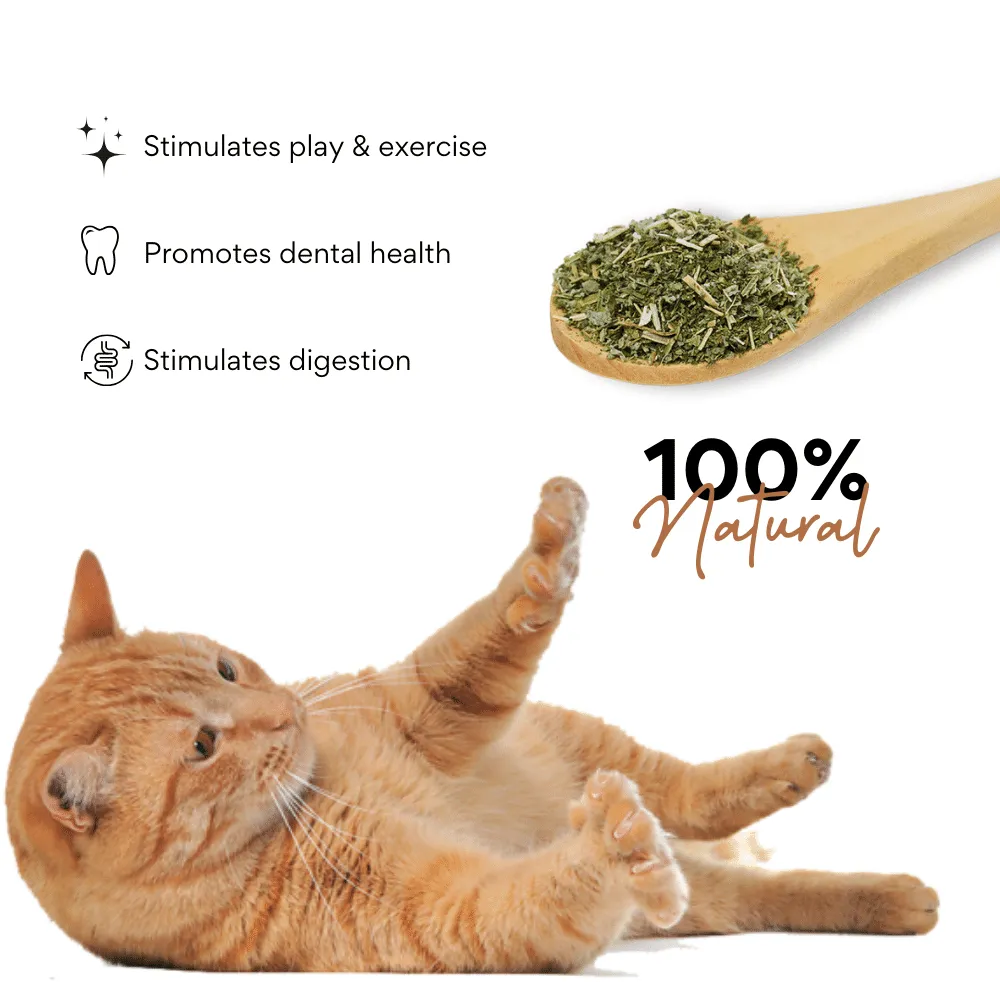 Kanu Pet Catnip Bliss Grass Cat