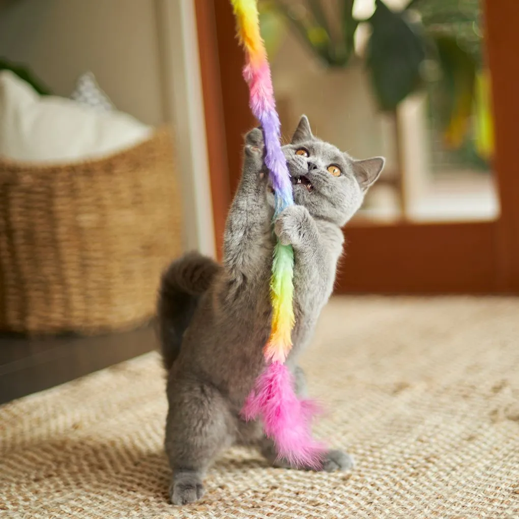 Fluffy Rainbow-Tailed Kazoo Cat Toy