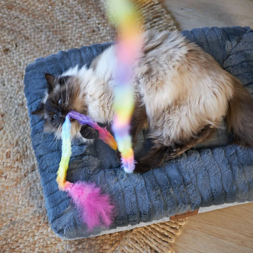 Fluffy Rainbow-Tailed Kazoo Cat Toy