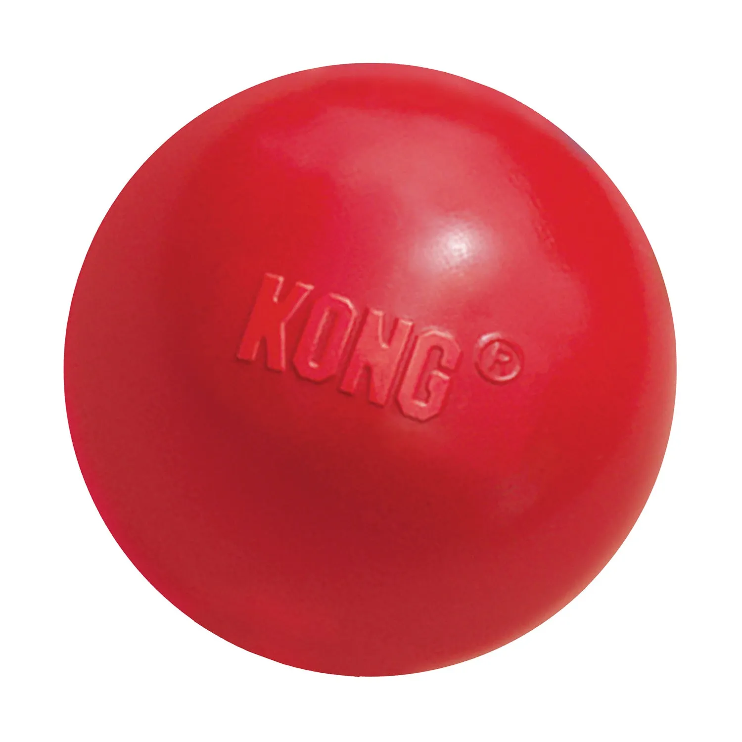 KONG Ball with Hole Dog Toy