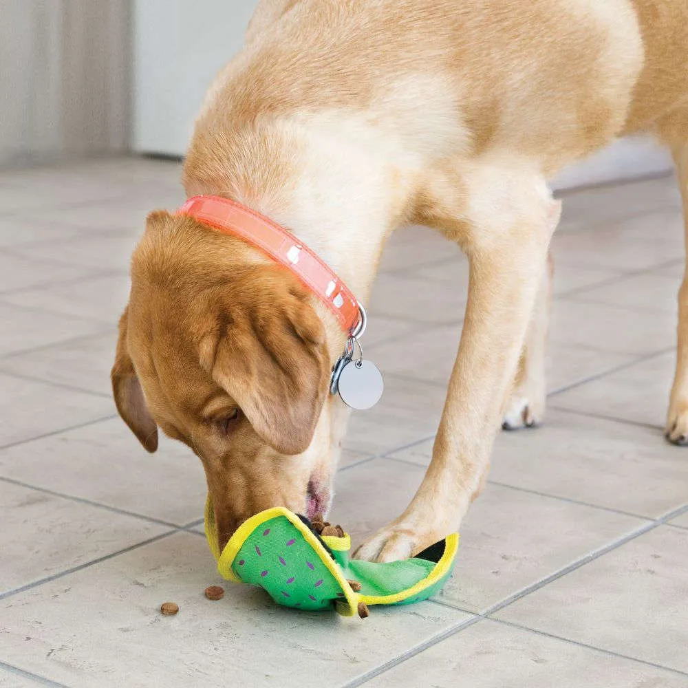 KONG Ballistic Hide n' Treat Interactive Dog Toy