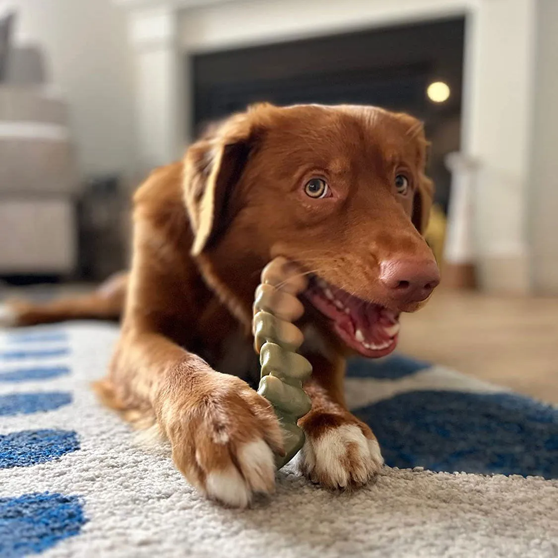 Nylabone Gator Tail Power Chew