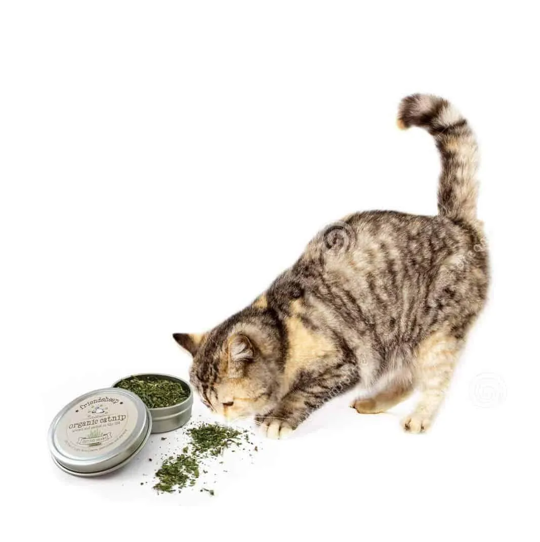 Organic Catnip Tin