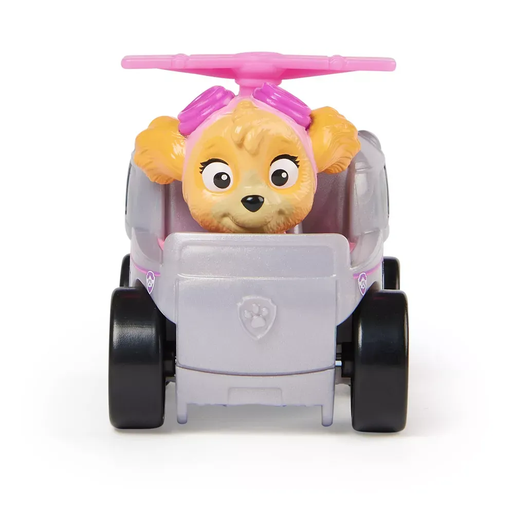 Paw Patrol Pup Squad Racer Skye