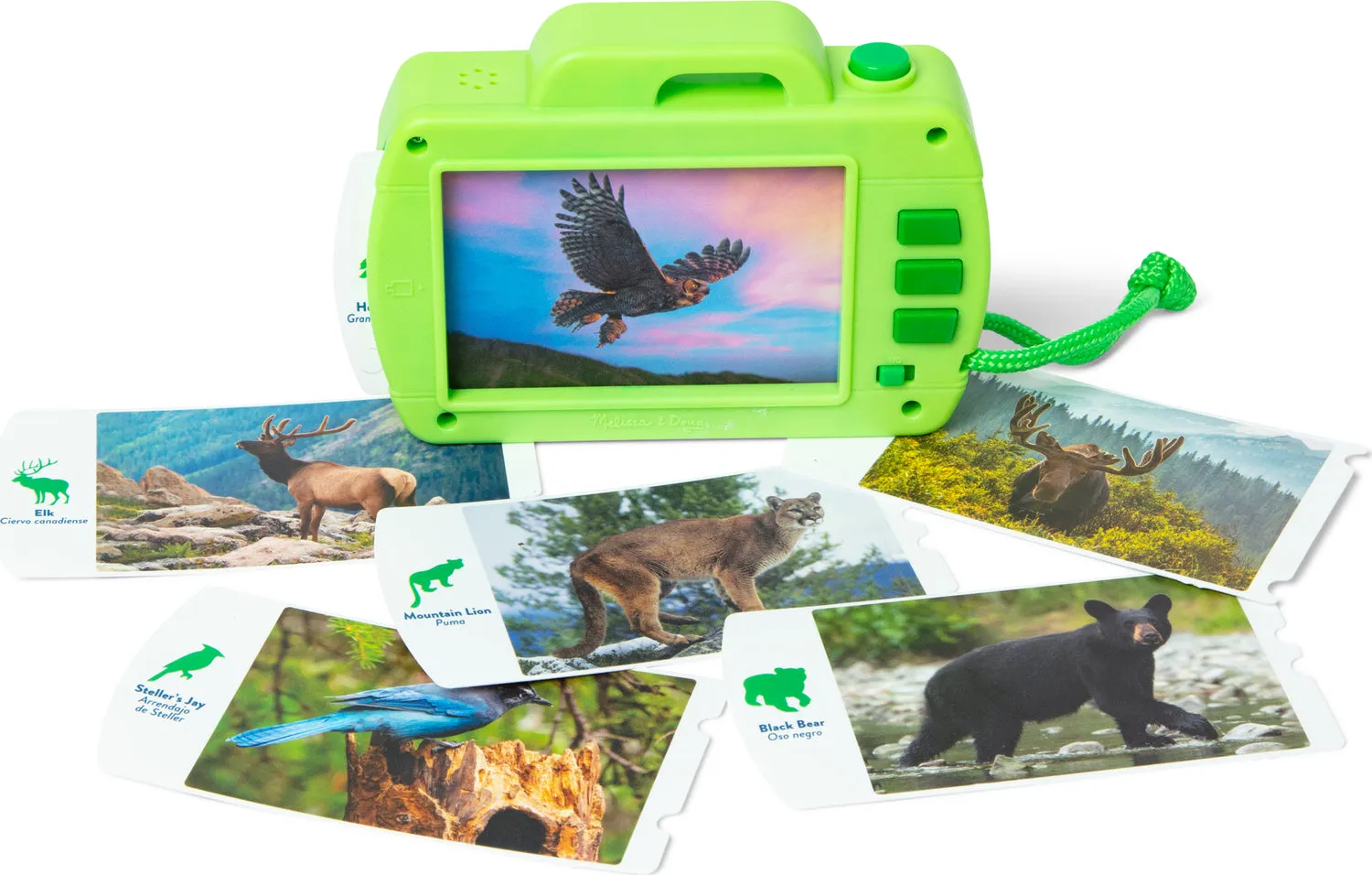 Rocky Mountain Wildlife Camera Set