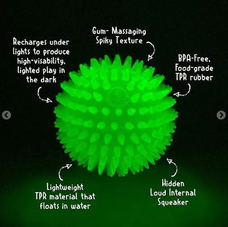 ROYAL PET - Glow-in-the-Dark Ball