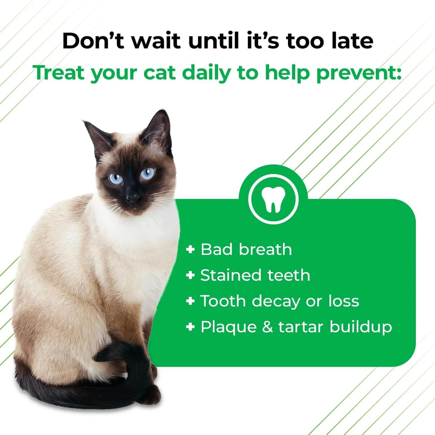 VetriScience Perio Plus Feline Bites