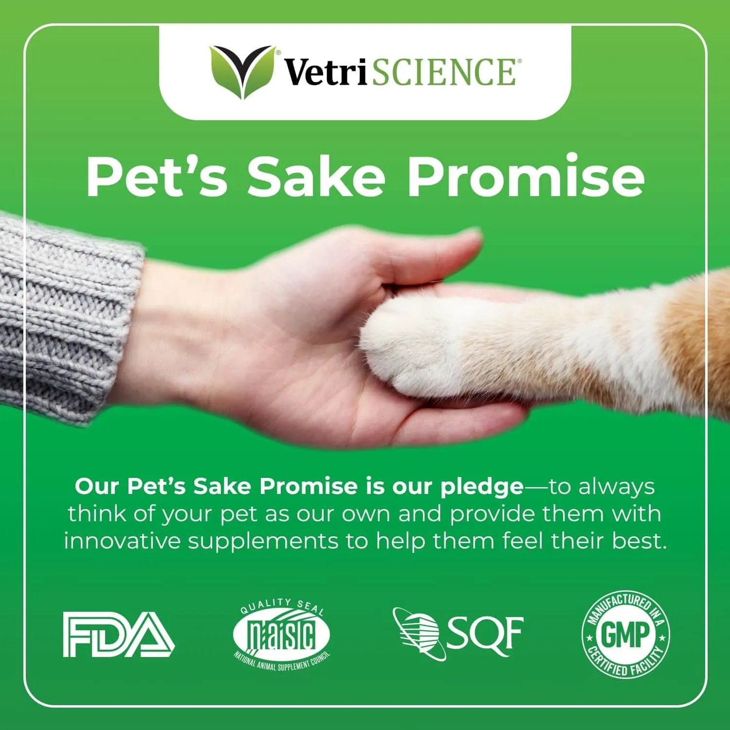 VetriScience Perio Plus Feline Bites